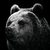 Benjamin Branch56 - @grizzlyd3n - TikTok