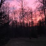 Benjamin Branson - @benjamin_b1999 - Instagram