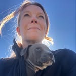 Dayna Drollinger - @benjaminbrantleymy_pittie - Instagram