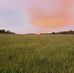Ben Brashear - Facebook