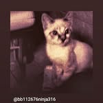 Benjamin Breeding - @bb112676ninja316 - Instagram