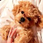 Benjamin Breland - @bennybreland - Instagram