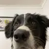 Ben._.Brennan - @ben._.brennan - TikTok
