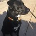 Ben Brennan - Facebook