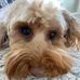 Benjamin Brewster - Facebook