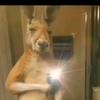 Ben el pro - @benjamin.brian8 - TikTok