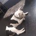 Benjamin Brickman - Facebook