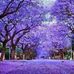 Ben Bridgeman - Facebook