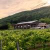 Benjamin Bridge - @benjaminbridgevineyards - TikTok