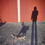 benjamin briggs - @benjamania - Instagram