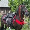 Benjamin Briones - @benjamin.briones59 - TikTok