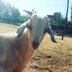Benjamin Briones - @benjamin.briones.77128 - Instagram