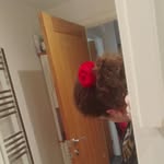 Benjamin Brogan - @ben_brogan_ - Instagram