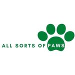 Benjamin | Dog Walking & Drop-in House Visit Services | Bromley - @allsortsofpaws - Instagram