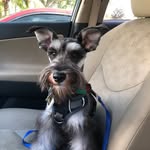 Benjamin Miguel Brower - @benjamin_brower - Instagram