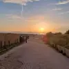 Benjamin Brunet - @benjamin.brunet00 - TikTok