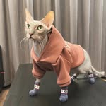 Беня - @benjamin_brush - Instagram