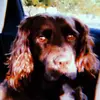 need fame - @benjamin.burke - TikTok