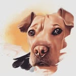 Benjamin Button - @cutestinstadog - Instagram