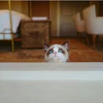 Benjamin Button - @benjaminbutton.13 - Instagram
