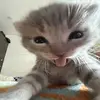 ️ - @benjamin.cain2 - TikTok