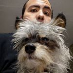 Benjamín Camacho García - @penguinkaiser - Instagram