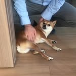 Benjamin Campbell - @bemjamimart - Instagram