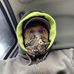 Benjamin Canady - Facebook