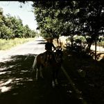 Benjamín Canales - @benjamincanales2 - Instagram