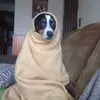 Benjamin Canales - @benjamincanales02 - TikTok