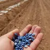 Benjamin Canales - @benjamin.canales02 - TikTok