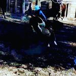 Benjamin Canales - @benjamin.canales.1426 - Instagram