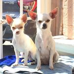 Benjamin Canales - @benjamin.canales.90663 - Instagram