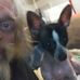 Benjamin Canfield - Facebook