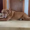 Benjamin.cann - @www.benjamin123 - TikTok