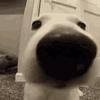 Benjamin cao - @benjamin.cao - TikTok