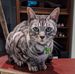 Benjamin Caplan - Facebook