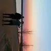 benji cardinal - @benjicardinal - TikTok