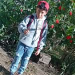 benjamin cardozo - @benjamincardozo310 - Instagram