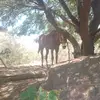 cardozobenjamin - @benjamincardozo28 - TikTok