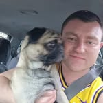 Benjamin Carling - @benjamincarling - Instagram