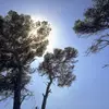carlylebenjamin8 - @carlylebenjamin8 - TikTok