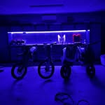 Benjamincarman - @benjamincarman_ - Instagram