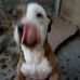Benjamin Carmona - Facebook