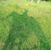 Benjamin Carmona - Facebook