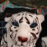Benjamín Carreon Carreon - @benjamincarreoncarreon - Instagram