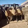 benjamincarrera43 - @benjamincarrera43 - TikTok