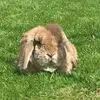 Benjamin Carrick - @benjamin.carrick1 - TikTok