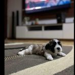 Benjamin Carrigan - Facebook