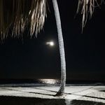 Benjamin Carton - @benjiii_c - Instagram